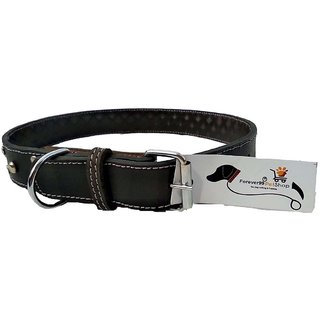                       Forever99 Pet Shop pure Leather Dog Collar Black with Padded,Small-12 TO 16 INCH                                              