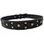 Forever99 Pet Shop pure Leather Dog Collar Black with Padded,Small-12 TO 16 INCH.