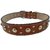 Forever99 Pet Shop pure Leather Dog Collar Tan with Padded,Small-12 TO 16 INCH.