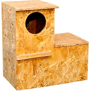 Parrot home