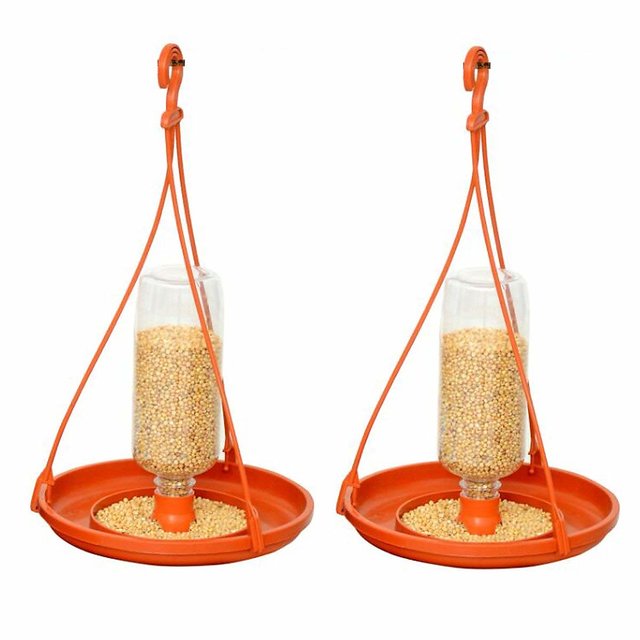 Buy Bird Feeder With Holding Hook Online 300 From Shopclues