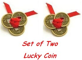 Chinese Feng Shui Coins For Wealth And Success Lucky 2 Set