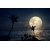 full moon in night skies |wall poster(size:12x18 inch) |Sticker Paper Poster, 12x18 Inch