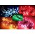 Alpha Pro PVC Rice Light Serial String Bulbs (Ladi) Decoration Lighting Multi Color for Festivals No of Pieces