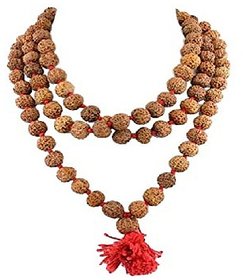 Lab certified rudraksha beads maala natural shiv moksha beads mala by Ceylonmine