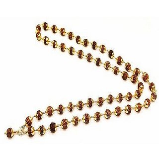 Rudraksha Gold Plated Beads Mala A1 Quality 5 Mukhi Rudraksha Gold Plated Beads Mala A1 Quality 5 Mukhi