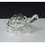 norme Crystal Turtle Tortoise For Feng Shui And Vastu - Best Gift For Career And Luck Pack Of 2