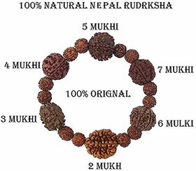 Nepali Rudraksha Rudraksh Beads Bracelet for Men and Women By REBUY
