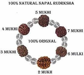 Bracelet Nepali Rudraksha Rudraksh Beads  Sphatik Crystal Quatz Bracelet Jewelry for Men and Women