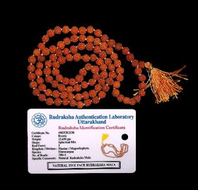 Rudraksha Mala 100 Pure Lab Certified Sidhha 5 Mukhi Rudraksha Mala 108+1 Beads (6mm) by REBUY