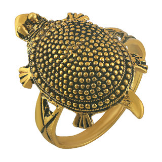 Buy MissMister Antique Gold finish Dotted back Kahcua Tortoise