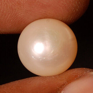 13 Ct Gorgeous Button Shape Golden Peach Color Freshwater Pearl Gemstone