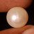 13 Ct Gorgeous Button Shape Golden Peach Color Freshwater Pearl Gemstone