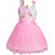 Clobay flower party frock for girls