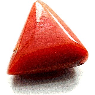                       CEYLONMINE Natural Red coral stone moonga 8.25 ratti original & unheated munga gemstone for unisex                                              