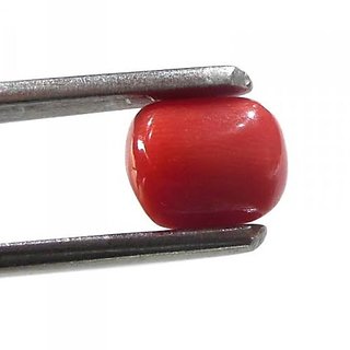 original stone moonga 8.25 ratti unheated Red coral precious munga gemstone for unisex by Ceylonmine original stone moonga 8.25 ratti unheated Red coral precious munga gemstone for unisex by Ceylonmine