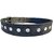 Forever99 Pet Shop Fabric Dog Collar Neck Belt for Small Medium Large Dogs (Blue)