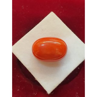 Moonga Gemstone Natural 6.25 Carat 100 Original Red Coral Stone Certified Lab Astrological Ceylonmine Moonga Gemstone Natural 6.25 Carat 100 Original Red Coral Stone Certified Lab Astrological Ceylonmine