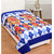 Z Decor Blue Polyester Nature and Floral Pattern Fleece & Polar Blankets For Single Bed