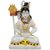 Shiv Idol, 100 Original And Very Rare Collection ByMake In India - Pick Use - Soilmade
