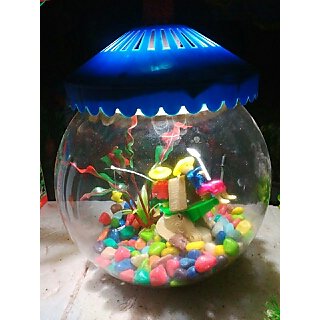 Buy Fish Bowl Attractive Home Decoration, Online @ ₹899 from ShopClues