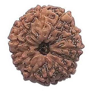 Shiv Shakti 9 Mukhi Rudraksha Beads Original Natural Rudra Bead By Ceylonmine Shiv Shakti 9 Mukhi Rudraksha Beads Original Natural Rudra Bead By Ceylonmine