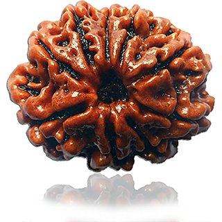                       Nine Face Rudraksha Beads Certified Shiv Beads Rudr For Women Me                                              