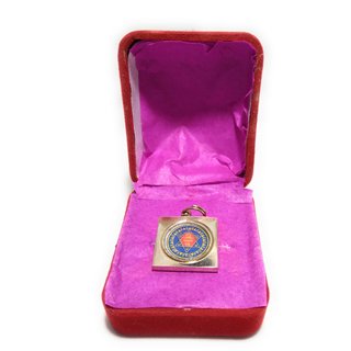 Ashtadhatu Shatru Nashak Yantra In Square Gold Plated For Protection Against Enemies in Size 2 x 2 cm Ashtadhatu Shatru Nashak Yantra In Square Gold Plated For Protection Against Enemies in Size 2 x 2 cm