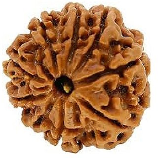 CEYLONMINE rudraksha beads original & certified 9 mukhi mokash shiv beads for unisex CEYLONMINE rudraksha beads original & certified 9 mukhi mokash shiv beads for unisex