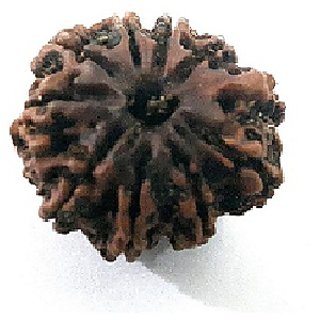 Ceylonmine rudraksha beads original & certified 9 mukhi mokash shiv beads for unisex Ceylonmine rudraksha beads original & certified 9 mukhi mokash shiv beads for unisex
