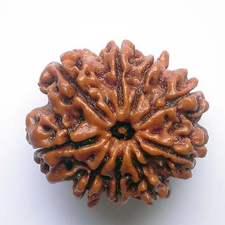 CEYLONMINE 9 face rudraksha bead original natural moksha shiv beads for unisex CEYLONMINE 9 face rudraksha bead original natural moksha shiv beads for unisex