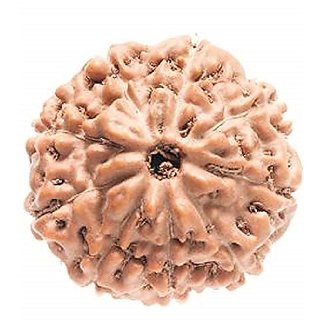 Ceylonmine Rudraksha Beads Certified 9 Mukhi Mokash Shiv Beads Fo Ceylonmine Rudraksha Beads Certified 9 Mukhi Mokash Shiv Beads Fo