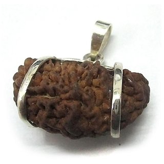                       CEYLONMINE shiv shakti rudraksha pendant one face rudraksha pendant for unisex                                              