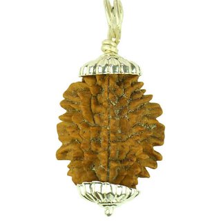                       CEYLONMINE ek mukhi rudraksha pendant unheated  original shiv beads pendant for unisex                                              