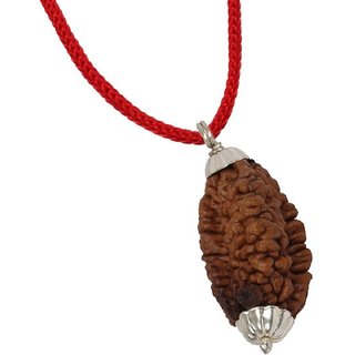                       CEYLONMINE shiv beads pendant original  natural beads rudraksha locket                                              