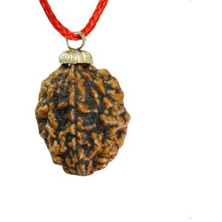                       CEYLONMINE  shiv shakti rudraksha pendant five face rudraksha pendant for unisex                                              