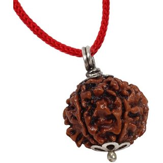                       CEYLONMINE five face rudraksha beads pendant original  natural shiv beads pendant                                              