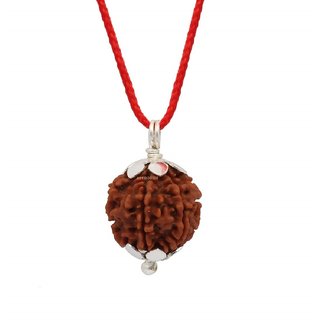                       CEYLONMINE Rudraksha pendant natural  original shiv shakti 5 mukhi rudraksha pendant                                              