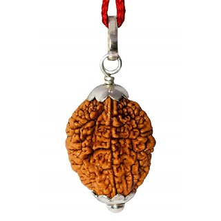                       CEYLONMINE mokash rudraksha pendant unheated  original shiv beads pendant for unisex                                              