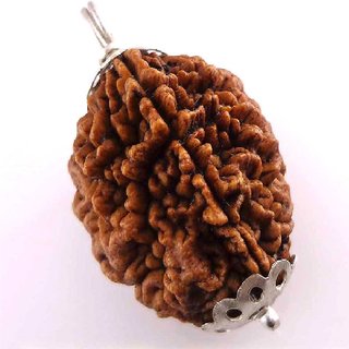                       CEYLONMINE Rudraksha pendant natural  original shiv shakti rudraksha pendant                                              