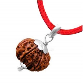                       CEYLONMINE shiv beads pendant original  natural beads rudraksha locket                                              