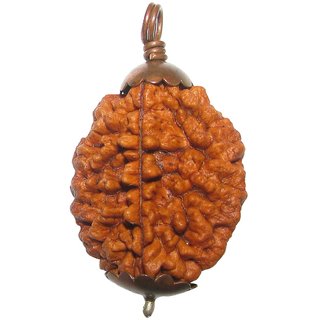                       CEYLONMINE shiv shakti rudraksha pendant five face rudraksha pendant for unisex                                              