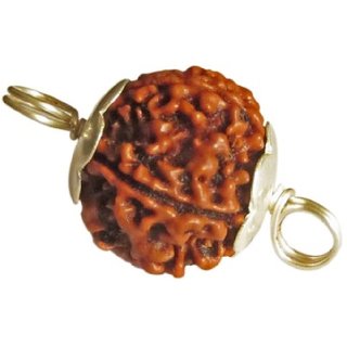                       CEYLONMINE shiv beads pendant original  natural beads rudraksha locket                                              
