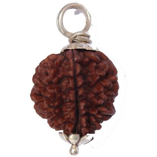                       CEYLONMINE shiv rudraksha pendant natural  original gemstone shiv beads pendant                                              