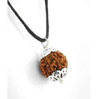                       CEYLONMINE Rudraksha pendant natural  original shiv shakti rudraksha pendant                                              