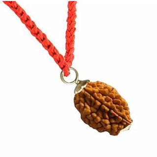                       CEYLONMINE Rudraksha pendant natural  original shiv shakti rudraksha pendant                                              