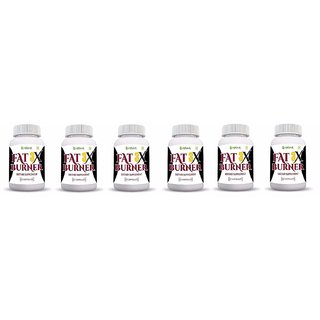 Thermo Fat Burner for Weight Loss and Energy Booster, (360 Capsules(pack of 6)) Thermo Fat Burner for Weight Loss and Energy Booster, (360 Capsules(pack of 6))