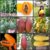 Combo Papaya 4 Varieties 10 Seeds Each Round,Dwarf,Golden,Red Good Seed (mix , pack of 40 seeds)