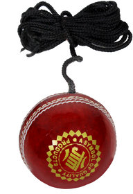 JTM practice knocking hanging cricket ball