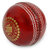 JTM cricket leather ball red colour